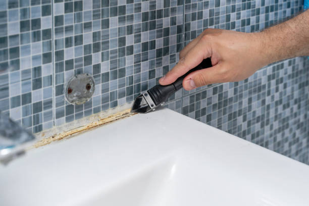 Best Attic Mold Removal  in Moore, OK