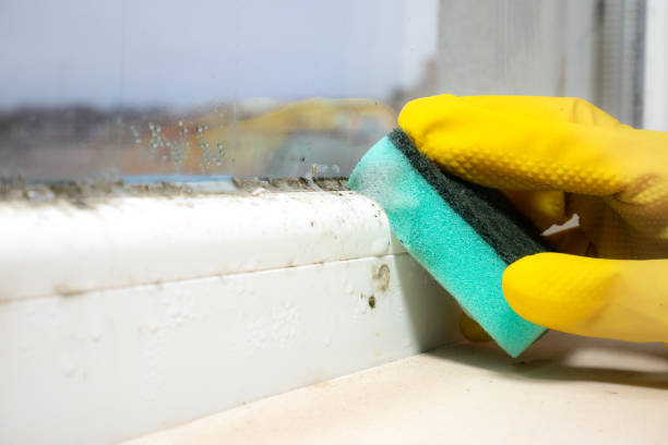 Best Mold Testing  in Moore, OK