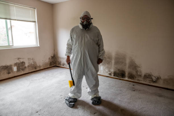 Best Fast Mold Removal  in Moore, OK
