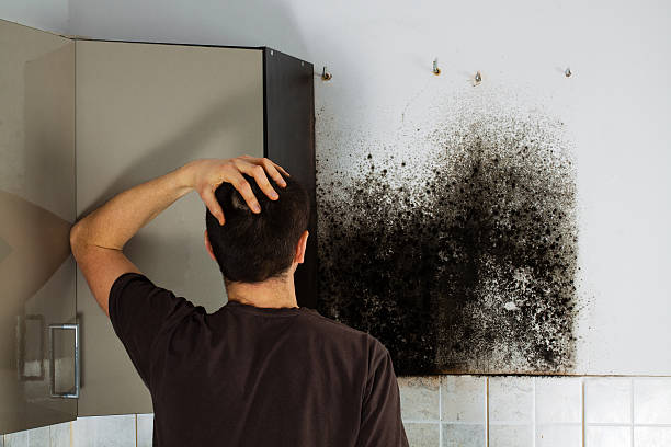 Best Mold Removal Process  in Moore, OK